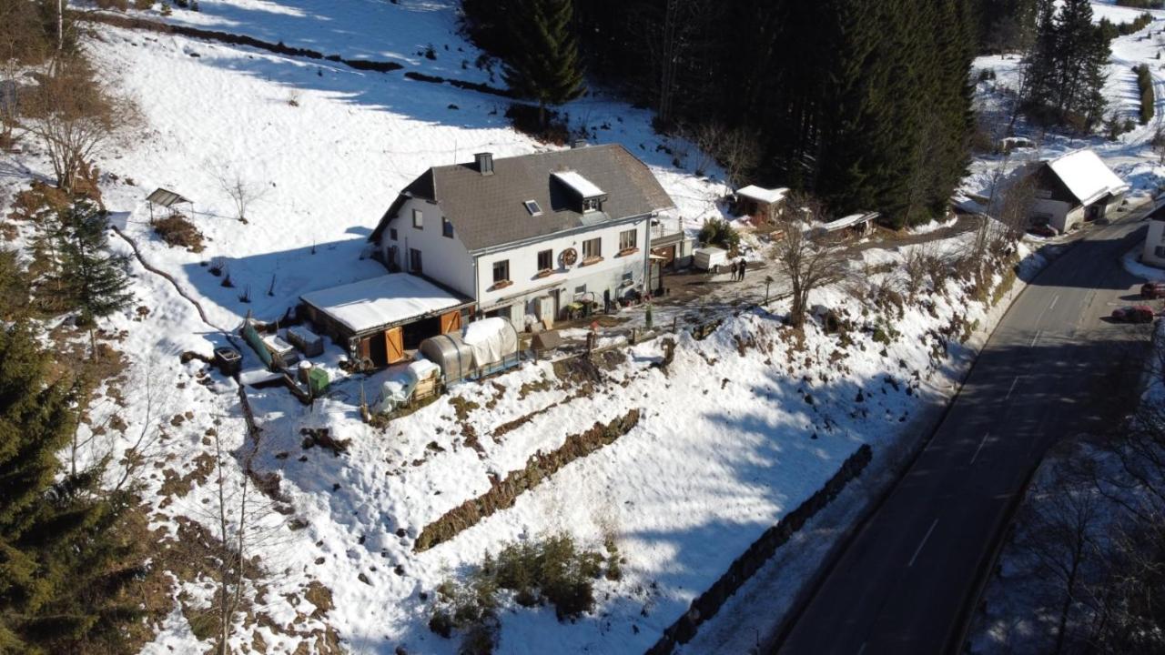 Apartment Peterl Krieglach Dış mekan fotoğraf