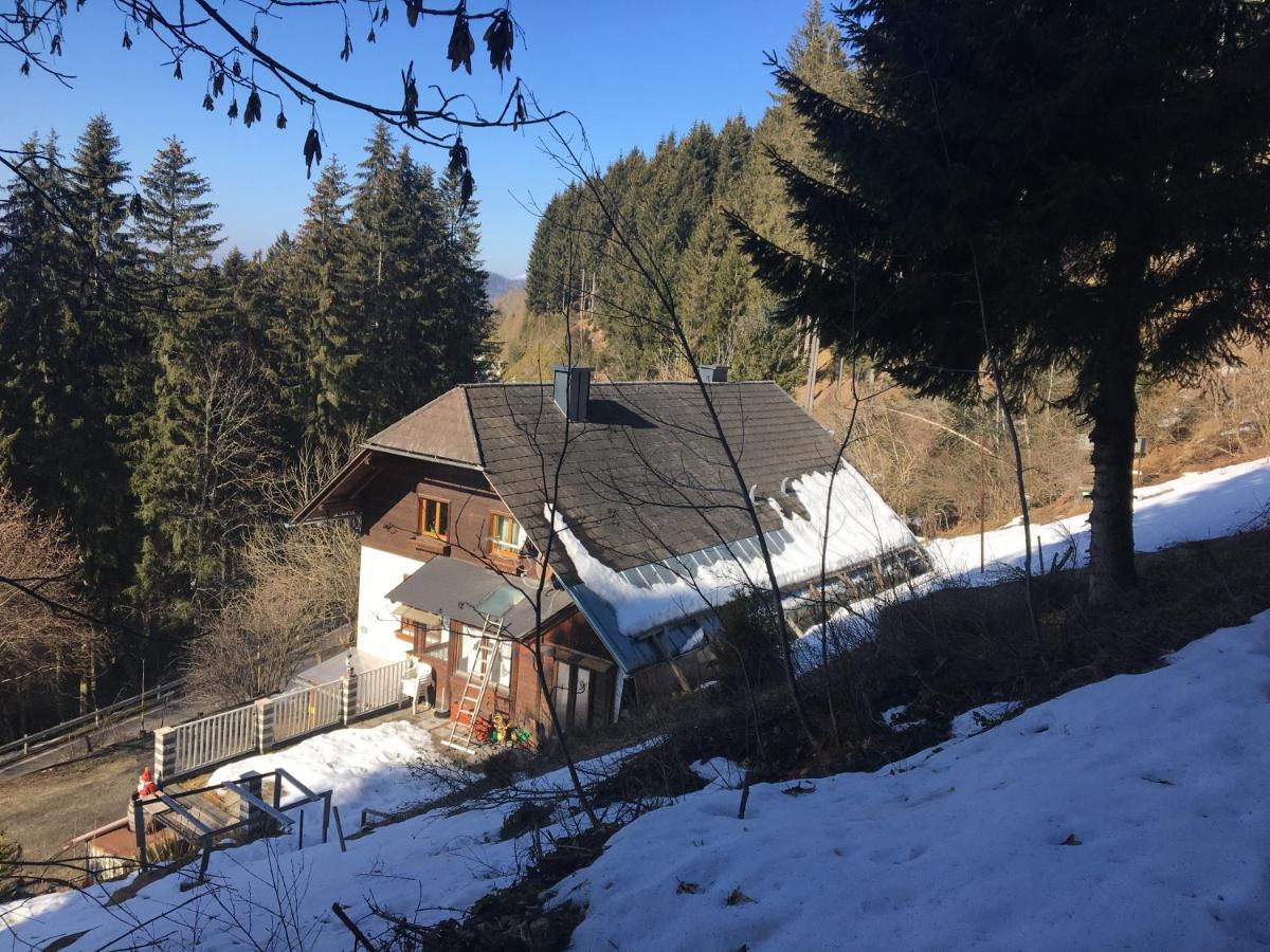Apartment Peterl Krieglach Dış mekan fotoğraf